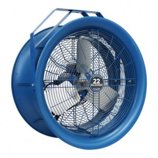 Patterson 22