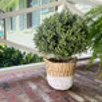 Mills Floral Company 16