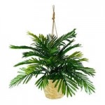 LCG Sales 6 1/2' Artificial Areca Palm Tree in Copper Deco Metal Planter LCG Sales 6 1/2' Artificial Areca Palm Tree in Copper Deco Metal Planter