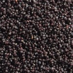 Hometown Provisions Poppy Seeds 5 lb. - 4/Case Hometown Provisions Poppy Seeds 5 lb. - 4/Case