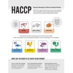 Victorinox 7