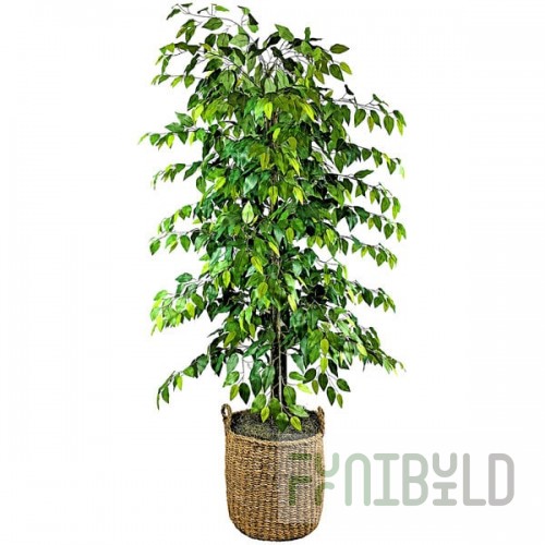 LCG Sales 6' Artificial Deluxe Clipped Ficus Tree in Basket with Handles