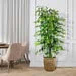 LCG Sales 6' Artificial Deluxe Clipped Ficus Tree in Basket with Handles