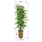 LCG Sales 6' Artificial Deluxe Clipped Ficus Tree in Basket with Handles