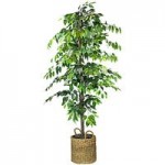 LCG Sales 6' Artificial Deluxe Clipped Ficus Tree in Basket with Handles