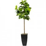 LCG Sales 6' Artificial Deluxe Clipped Ficus Tree in Basket with Handles
