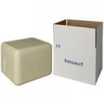 Insulated Biodegradable Cooler 11 1/8 Insulated Biodegradable Cooler 11 1/8