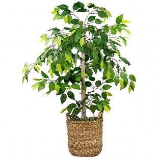 LCG Sales 4' Artificial Ficus Tree in Basket with Handles LCG Sales 4' Artificial Ficus Tree in Basket with Handles