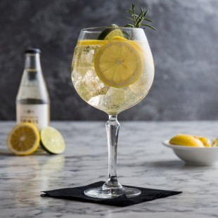 Libbey Speakeasy 19.5 oz. Gin & Tonic Glass - Sample Libbey Speakeasy 19.5 oz. Gin & Tonic Glass - Sample