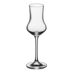 Schott Zwiesel Classico 3.2 oz. Grappa Wine Glass by Zwiesel Fortessa Tableware Solutions - 6/Case Schott Zwiesel Classico 3.2 oz. Grappa Wine Glass by Zwiesel Fortessa Tableware Solutions - 6/Case