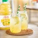 Dr. Smoothie Refreshers Lemon Refresher Beverage 1:1 Concentrate 46 fl. oz. - 6/Case Dr. Smoothie Refreshers Lemon Refresher Beverage 1:1 Concentrate 46 fl. oz. - 6/Case