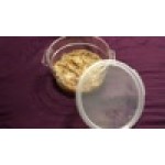 Cambro 12, 18 and 22 Qt. Translucent Round Polypropylene Food Storage Container Seal Cover Cambro 12, 18 and 22 Qt. Translucent Round Polypropylene Food Storage Container Seal Cover