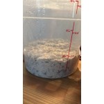 Cambro 1 Qt. Translucent Round Polypropylene Food Storage Container and Lid - 3/Pack Cambro 1 Qt. Translucent Round Polypropylene Food Storage Container and Lid - 3/Pack