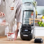 Hamilton Beach HBH855 Summit Edge 3.5 hp High-Performance Blender - 120V