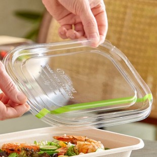 World Centric GreenLight Compliant PLA Plastic Compostable Lid for 8