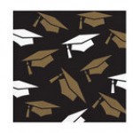 Creative Converting Grad Glamor 10 Creative Converting Grad Glamor 10