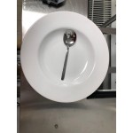 Acopa 10 oz. Bright White Wide Rim Rolled Edge Rim Stoneware Soup and Pasta Bowl - Sample