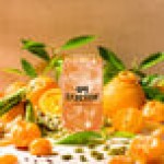 Tractor Beverage Co. Organic Mandarin & Cardamom Beverage 8.5:1 Concentrate 32 fl. oz. - 12/Case