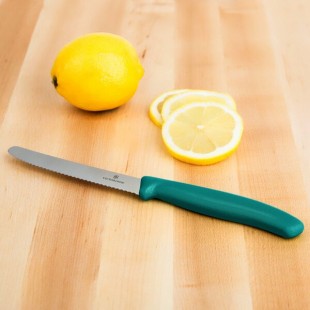 Victorinox 4 1/2