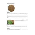 Davidson's Organic Tulsi Pure Leaves Herbal Loose Leaf Tea 1 lb. Davidson's Organic Tulsi Pure Leaves Herbal Loose Leaf Tea 1 lb.