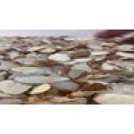 Raw Sliced Almonds 25 lb. Raw Sliced Almonds 25 lb.