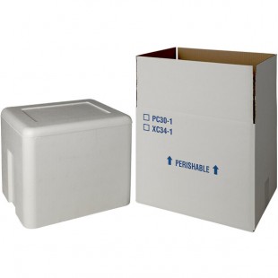 Insulated Shipping Box with Foam Cooler 13 3/8