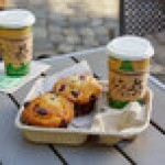 EcoChoice 8-32 oz. 2-Cup Carrier with Tray - 125/Pack