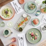 Acopa Pangea 9