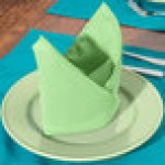 Intedge Seafoam Green 100% Polyester Cloth Napkins, 22 Intedge Seafoam Green 100% Polyester Cloth Napkins, 22