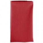 Intedge Seafoam Green 100% Polyester Cloth Napkins, 22 Intedge Seafoam Green 100% Polyester Cloth Napkins, 22
