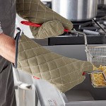 Vigor SafeMitt 17 Vigor SafeMitt 17