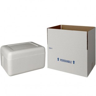 Insulated Shipping Box with Foam Cooler 13 3/8