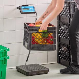AvaTek RS400T 400 lb. Digital Treaded Receiving Scale with Remote Display