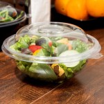 Fineline 5024-CL Super Bowl 24 oz. Clear PET Plastic Bowl - 100/Case