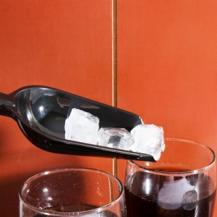 Fineline 3314-BK Disposable 6 oz. Black Utility and Ice Scoop