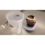 Pactiv/Newspring 32 oz. Translucent Round Deli Container Combo Pack - 240/Case Pactiv/Newspring 32 oz. Translucent Round Deli Container Combo Pack - 240/Case