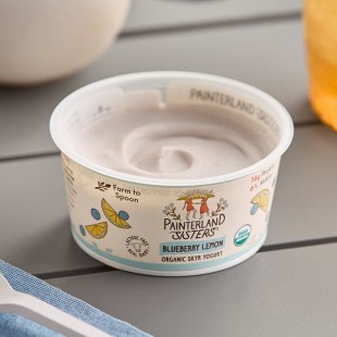Painterland Sisters Blueberry Lemon Organic Skyr Yogurt Cup 5.3 oz. - 8/Pack Painterland Sisters Blueberry Lemon Organic Skyr Yogurt Cup 5.3 oz. - 8/Pack