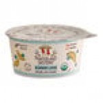 Painterland Sisters Blueberry Lemon Organic Skyr Yogurt Cup 5.3 oz. - 8/Pack