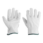 Cordova Gray Standard Grain Goatskin Leather Driver's Gloves with Straight Thumbs - Vendpacked - Medium - Pair
