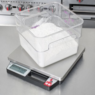 Taylor TE50 50 lb. Digital Portion Control Scale with Built-in Handle Taylor TE50 50 lb. Digital Portion Control Scale with Built-in Handle