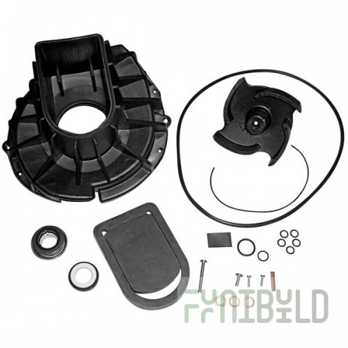 Pacer Pumps S Series P-58-977EP-RS Rebuild Kit for Model SE3SL