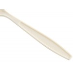 Choice Beige Heavy Weight Polystyrene Plastic Teaspoon - 100/Pack