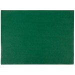 H. Risch, Inc. PLACEMATRECT16X12GREEN 16 H. Risch, Inc. PLACEMATRECT16X12GREEN 16
