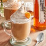 SHOTT Spiced Pumpkin Concentrated Flavoring Syrup 1 Liter