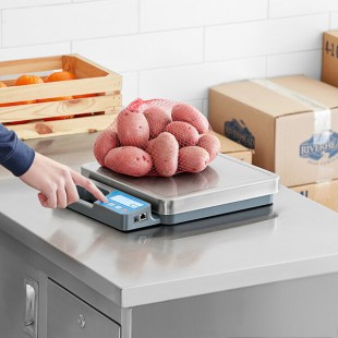 AvaTek RSB100SS 100 lb. Digital Receiving / Portion Scale with Built-In Handle