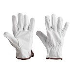 Cordova Gray Premium Grain Goatskin Leather Driver's Gloves - Vendpacked - Medium - Pair Cordova Gray Premium Grain Goatskin Leather Driver's Gloves - Vendpacked - Medium - Pair