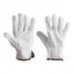 Cordova Gray Premium Grain Goatskin Leather Driver's Gloves - Vendpacked - Medium - Pair Cordova Gray Premium Grain Goatskin Leather Driver's Gloves - Vendpacked - Medium - Pair