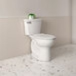 American Standard Cadet PRO 215FA004.020 White Vitreous China Floor-Mount Chair Height Toilet with Elongated High-Efficiency Bowl and 10
