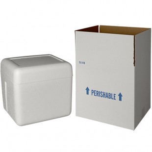 Insulated Shipping Box with Foam Cooler 12