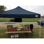 Caravan Canopy 21208100060 M-Series Pro 2 12' x 12' Navy Straight Leg Instant Canopy Caravan Canopy 21208100060 M-Series Pro 2 12' x 12' Navy Straight Leg Instant Canopy